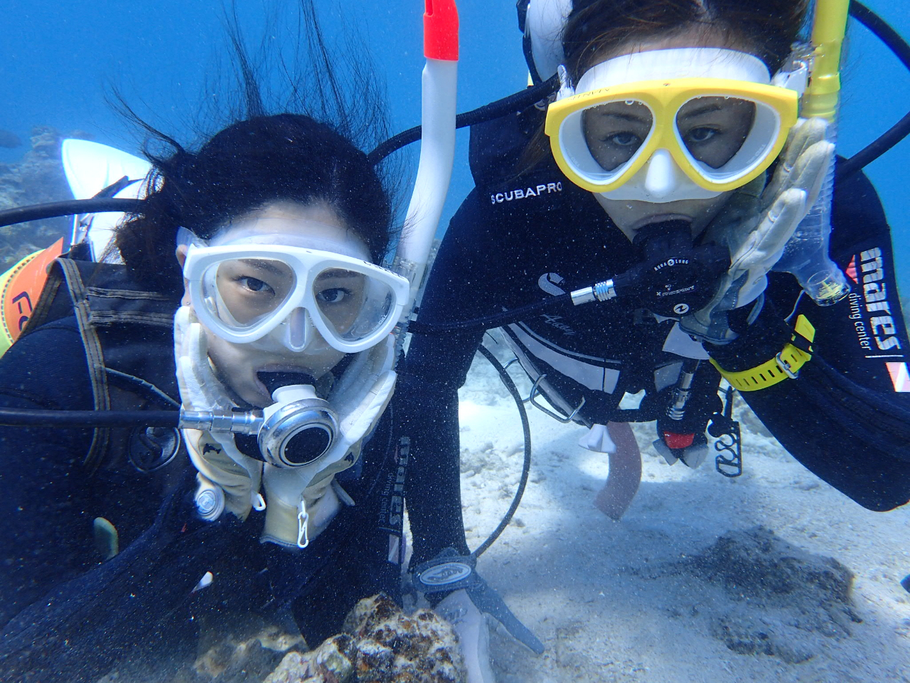 レディースプラン】ビーチエントリーでいける半日体験ダイビング
