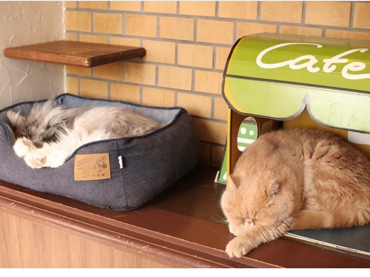 FAgimEF[WtHXgLbgj@@EFSiGL]`bNV[gwAj