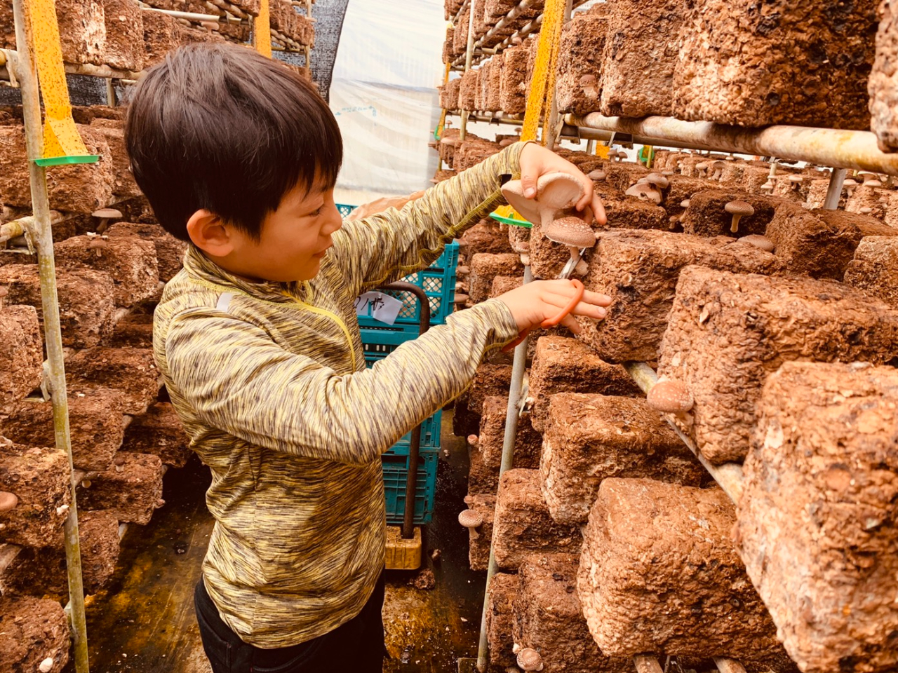 qlł̊ȒPɊyLmRyŒ܂