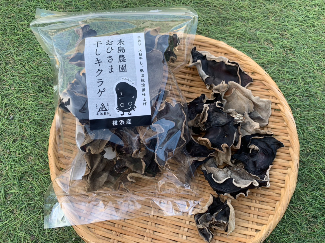 戻すと7〜10倍に膨らみます!