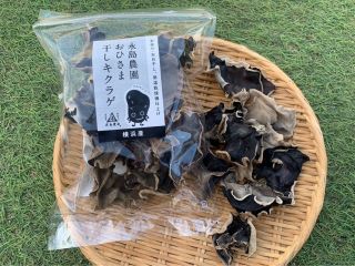 戻すと7〜10倍に膨らみます!