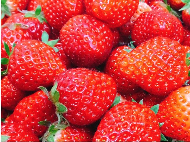 22年2月 仙台市でいちご摘み 平日限定 5品種の甘 いイチゴの食べ比べをお楽しみください コロナウイルス対策実施中 一苺一笑 松森農場 じゃらん遊び体験 22年2月 仙台市でいちご摘み 平日限定 5品種の甘 いイチゴの食べ比べをお楽しみください コロナウイルス対策実施中 一苺一笑 松森農場 じゃらん遊び体験