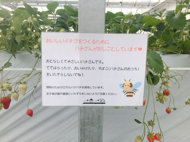 �󕲂̂��߂ɃN���}���n�i�o�`�����ł��܂��B�h�����Ȃ���Ύh���Ȃ��n�`����ł�