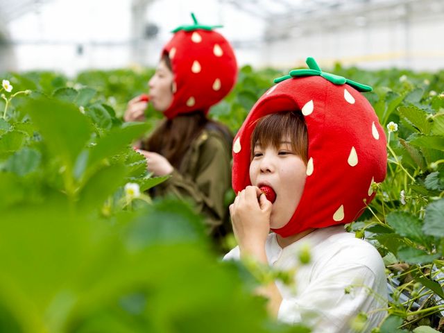 いちごの被り物もあります!