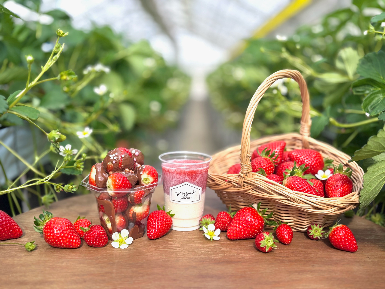 EJtFEVbvA][gɂȂĂ܂