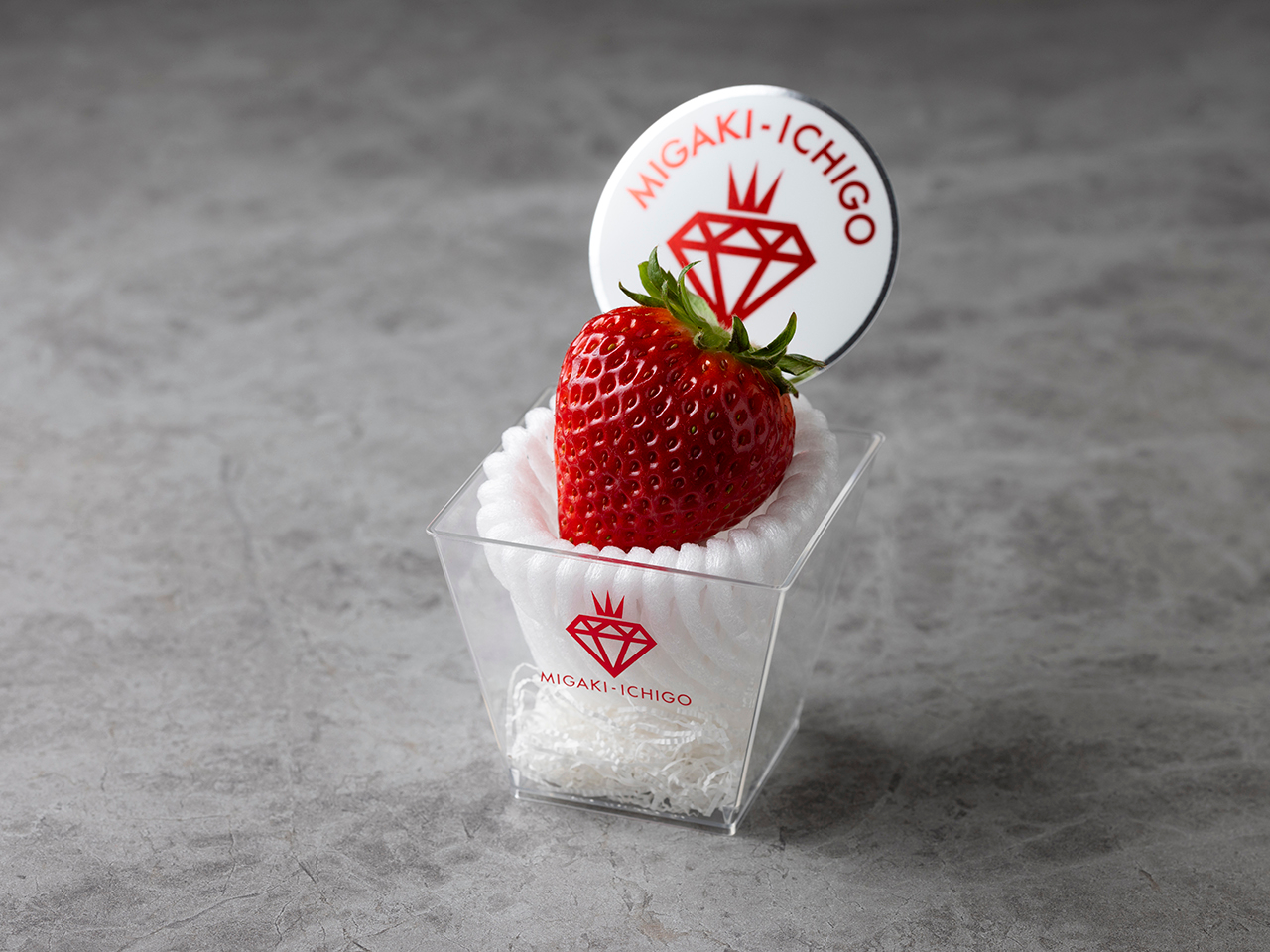 FEE`EōŃuHׂ΁@~KLC`Sv̐Y_ł