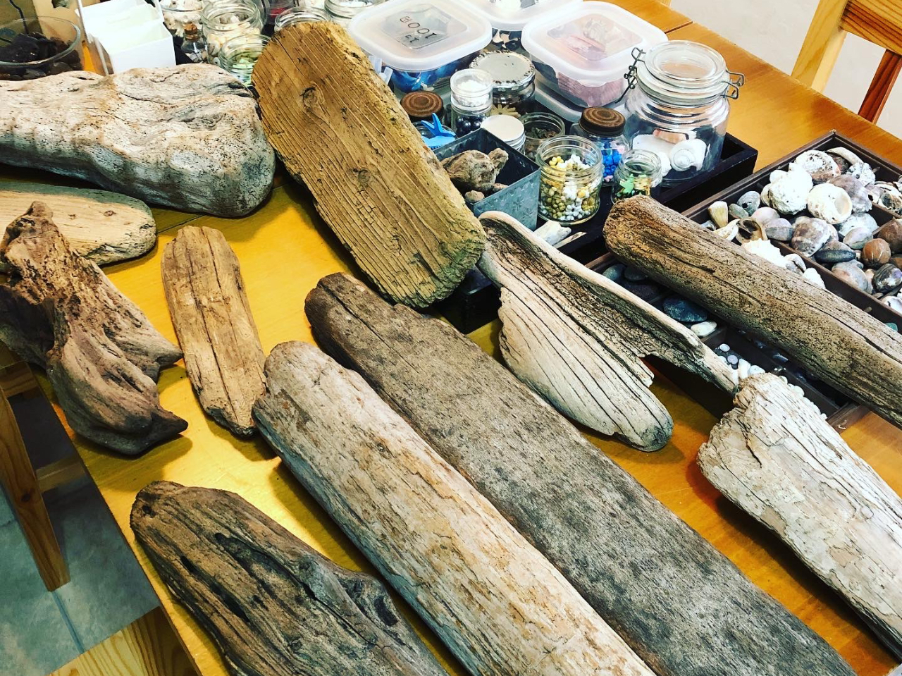 八丈島｜所要約1時間】☆流木ネームプレート制作☆八丈島の海辺の流木