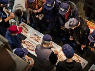 熱海魚市場でのセリの様子