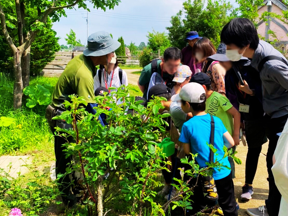 【北海道・恵庭】\「えこりん村」で春の自然を満喫/5月23日(土)昆虫探しガイド...