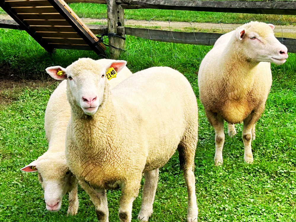 【北海道・恵庭】\ 5月12日(火)・13日(水)開催/【「北海道民」専用プラン...