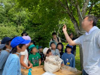 \自然の中で大人も子供も「いきもの探しガイドツアー」/
