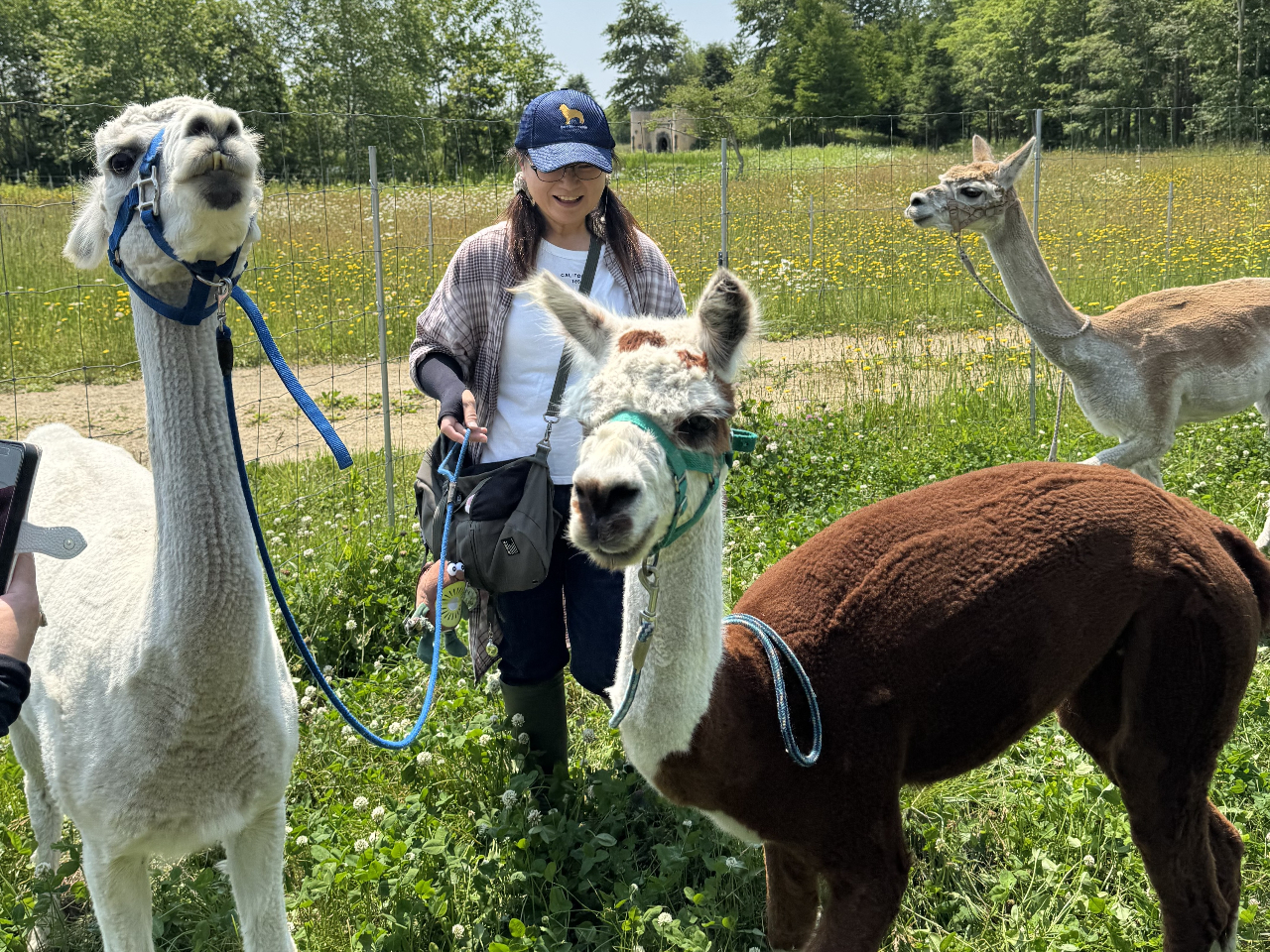 �_�����̎q�͌��܂������ȁH�^