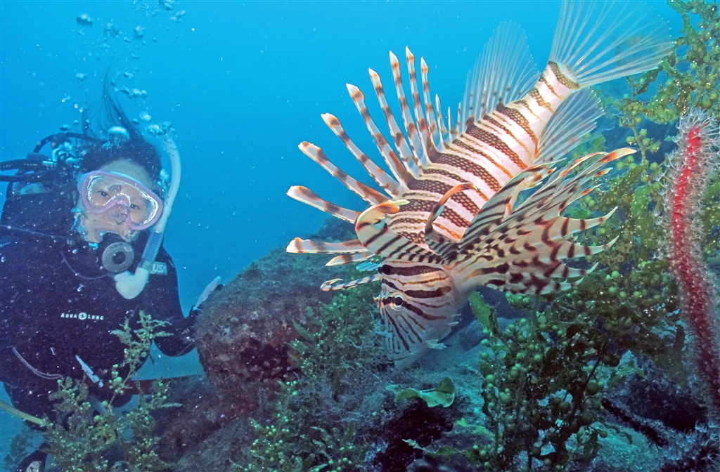 魚たちとの記念撮影も人気です