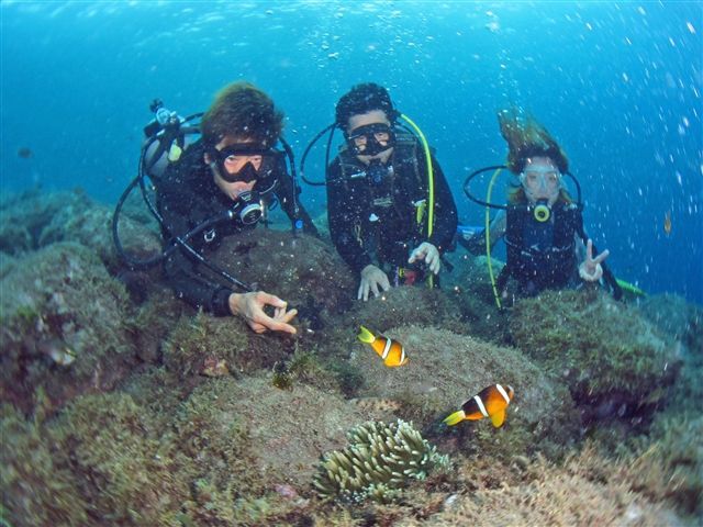 生物が豊富な井田だから、記念撮影にもうってつけの海です