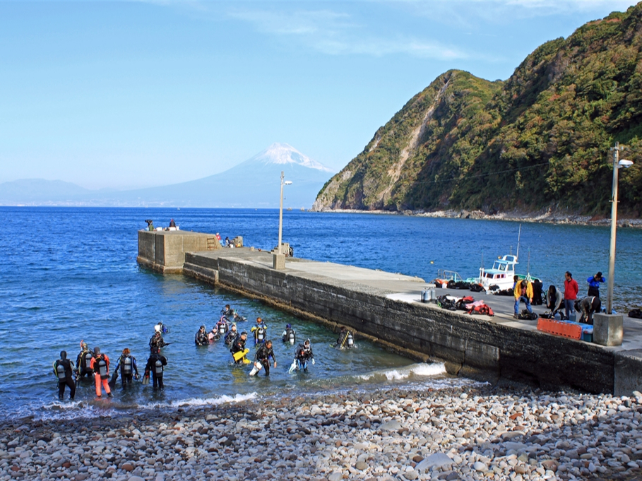 x̗ǂƕxmRɖAĂ̓_Co[œ킢܂B