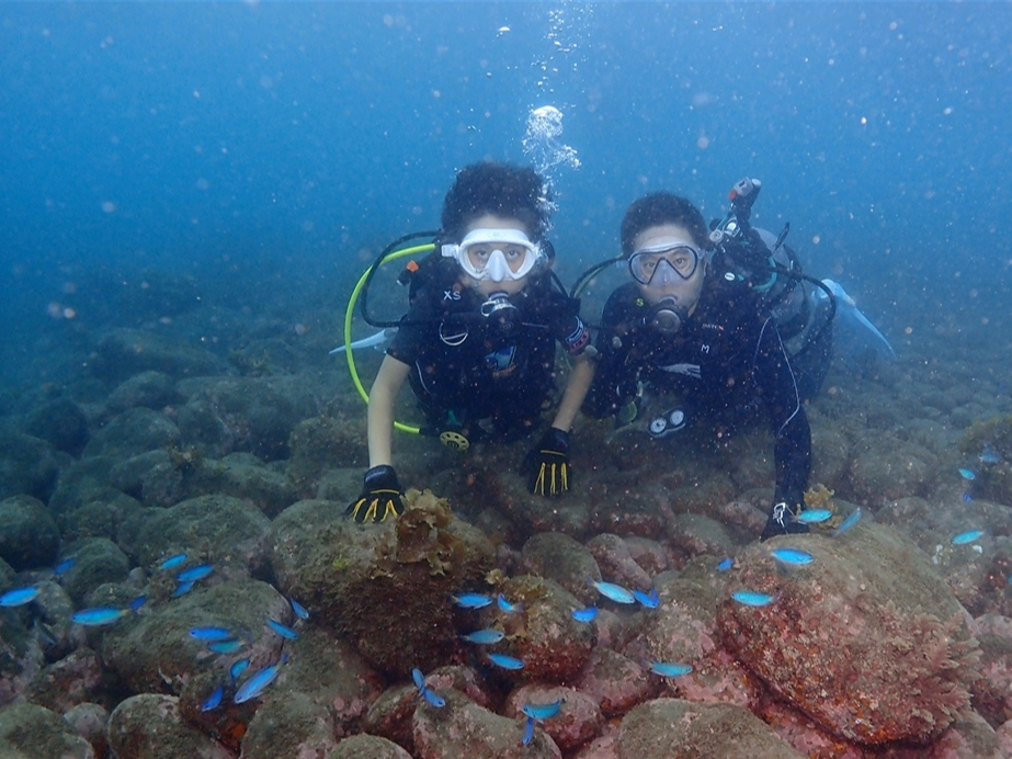 ЂFBUă_Co[ɂȂ܂傤