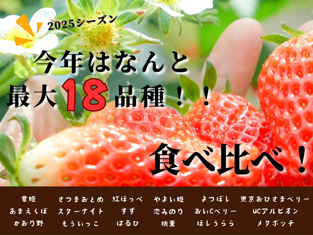 ���N�͂Ȃ��18�i����͔|���B������݂̕i�킩��󏭂ȕi��܂őS���H�ו���I�i��ɂ�鐧���݂͐��Ă��Ȃ��̂ŐԂ��Ȃ��Ă���΂ǂ̕i����H�ׂĂ��������܂��B