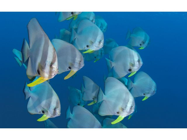 v̓x̗ǂ͍ŃgbvNXIXƂCʂĂȂLĂAĈC̊ł鎖ł傤B