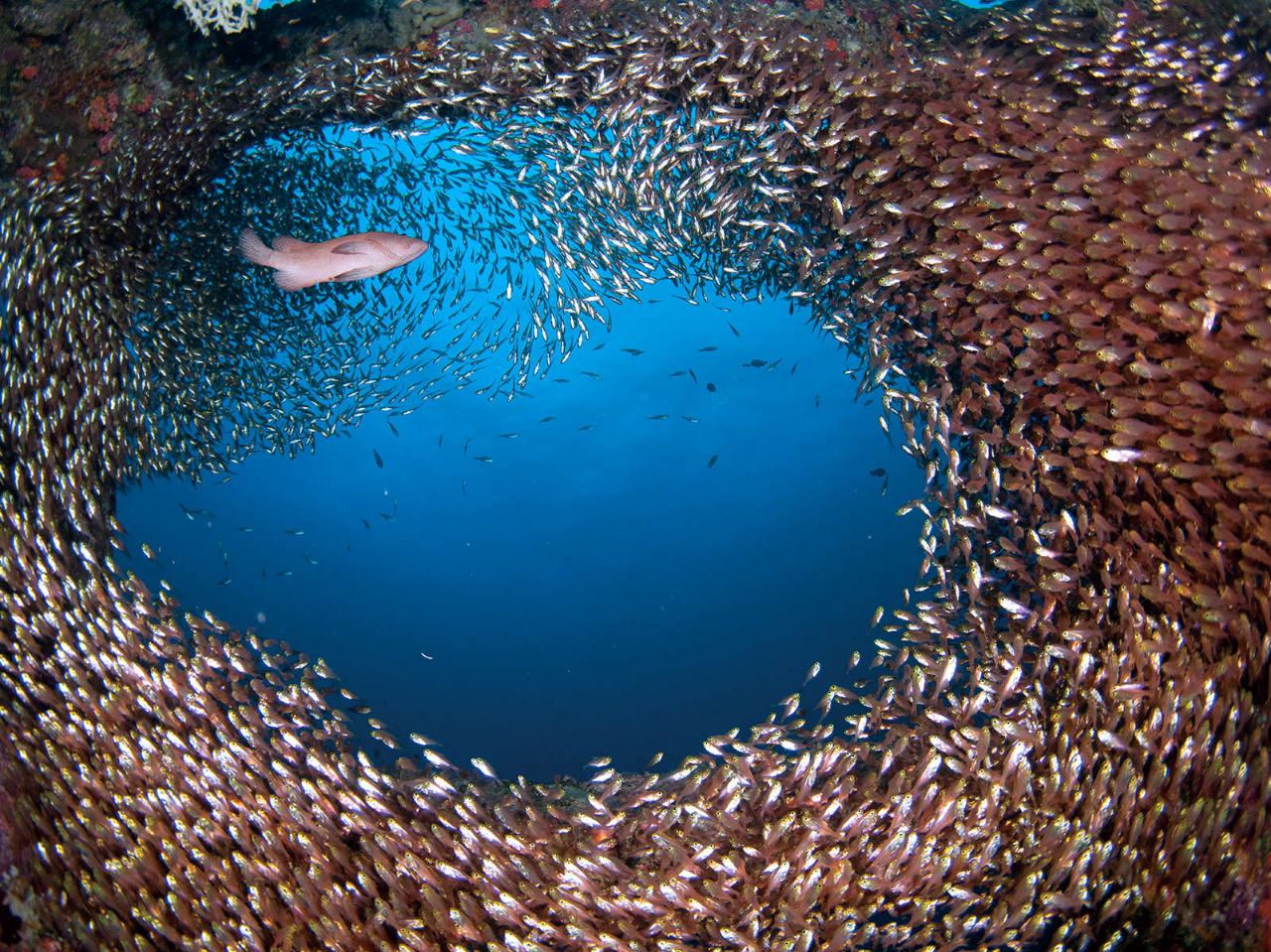 Ƃɂv̊CIȂ̂Ƀ_Co[ȂÂтƂCBꂪv̊CȂłB