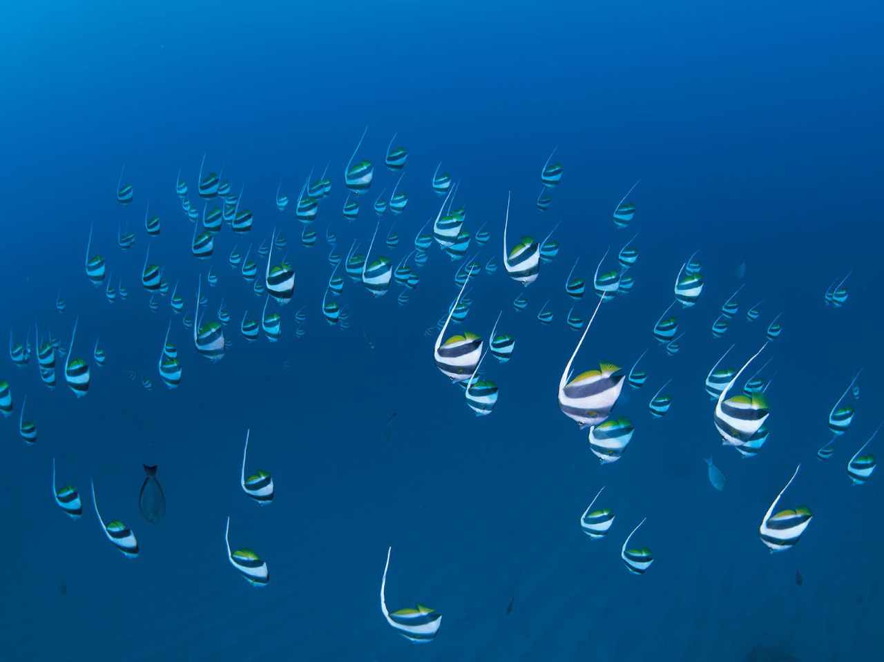 ̋Ɩk̋荇svcȊC\BBB