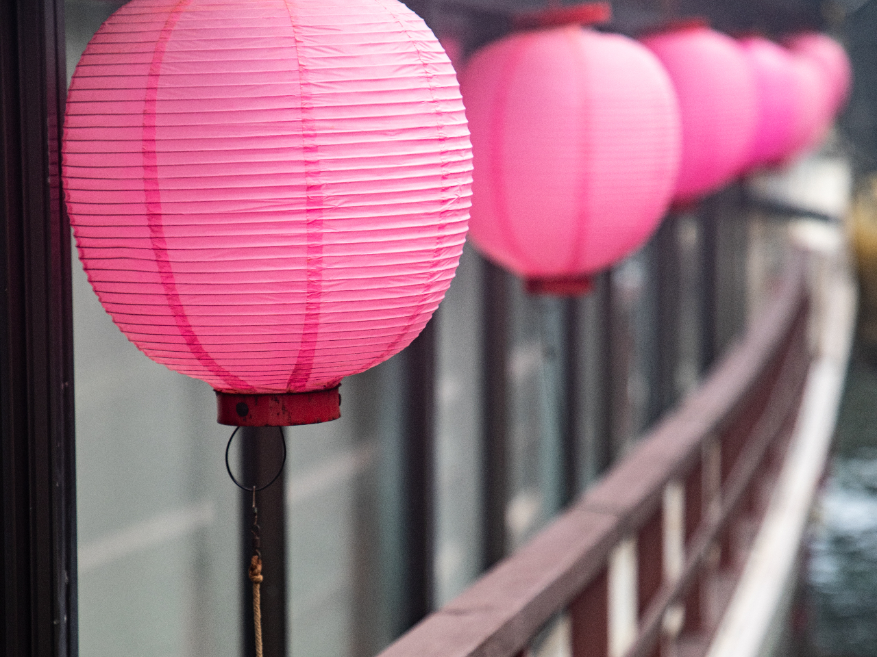 ���`�D���ݍK�̓s���N�̒�