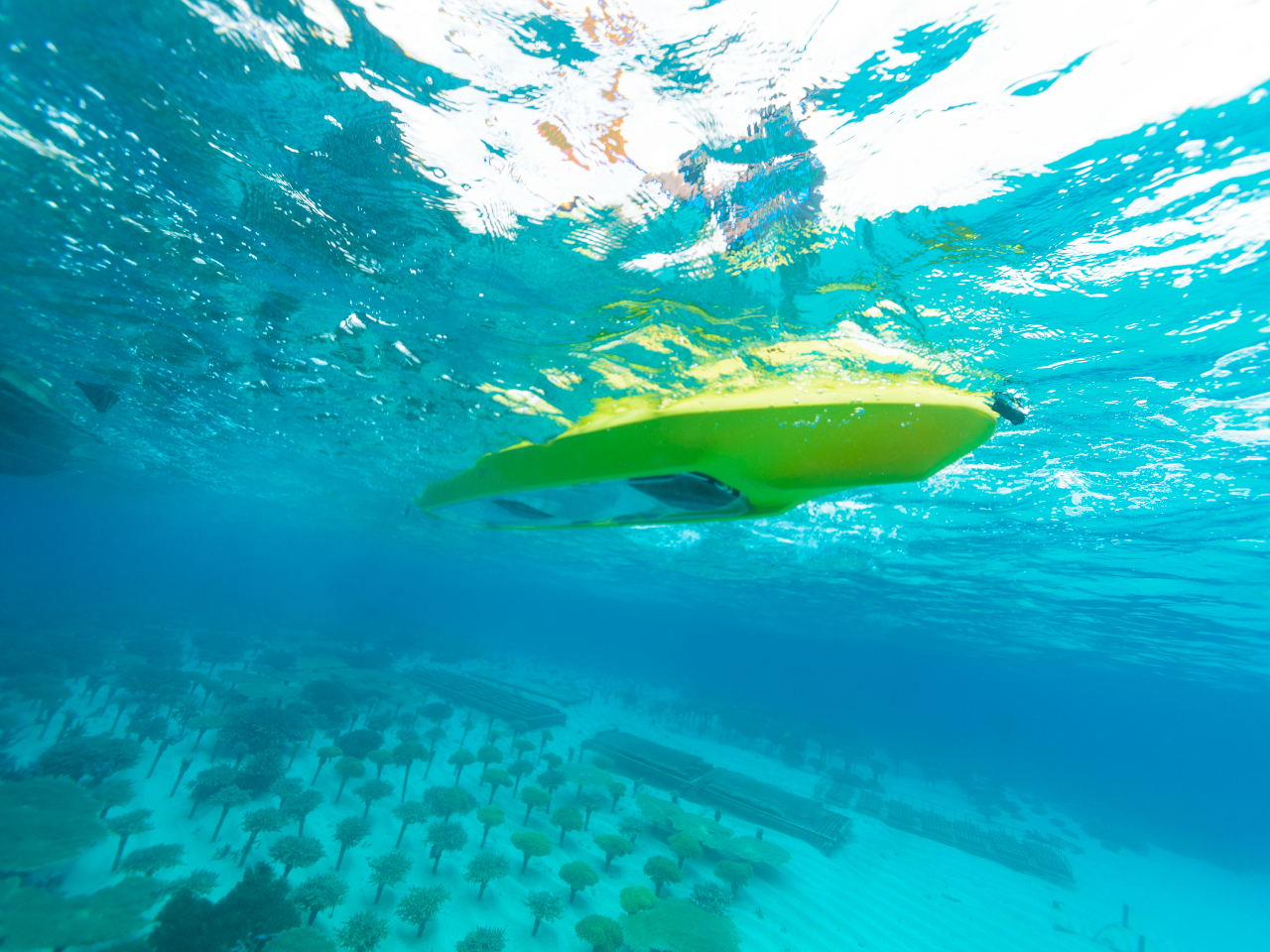 [{BX蔨ӏ܁BLȊCg݂̊B