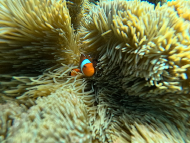 JNN}m~̃X|bgC̏ォ炲ē