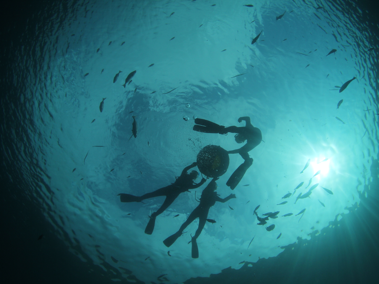 差し込む光がとってもキレイ☆