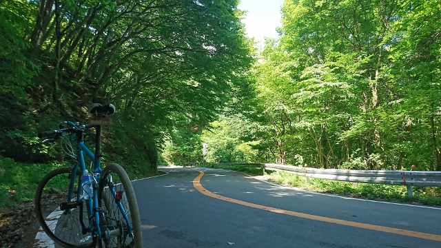 約2時間〜8時間のコースをどう過ごす??軽井沢→碓氷峠→アプトの道→めがね橋→碓氷湖→坂本宿→天然温泉 峠の湯→碓氷峠関所跡→峠の釜めし おぎのや→横川駅