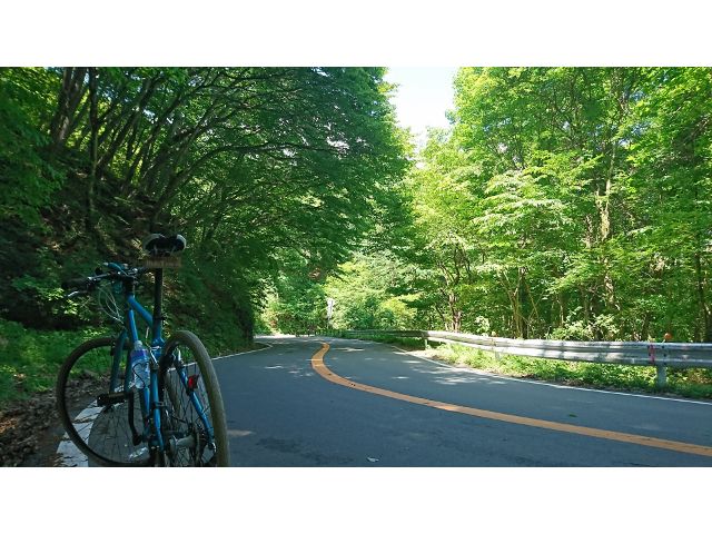 約2時間〜8時間のコースをどう過ごす??軽井沢→碓氷峠→アプトの道→めがね橋→碓氷湖→坂本宿→天然温泉 峠の湯→碓氷峠関所跡→峠の釜めし おぎのや→横川駅