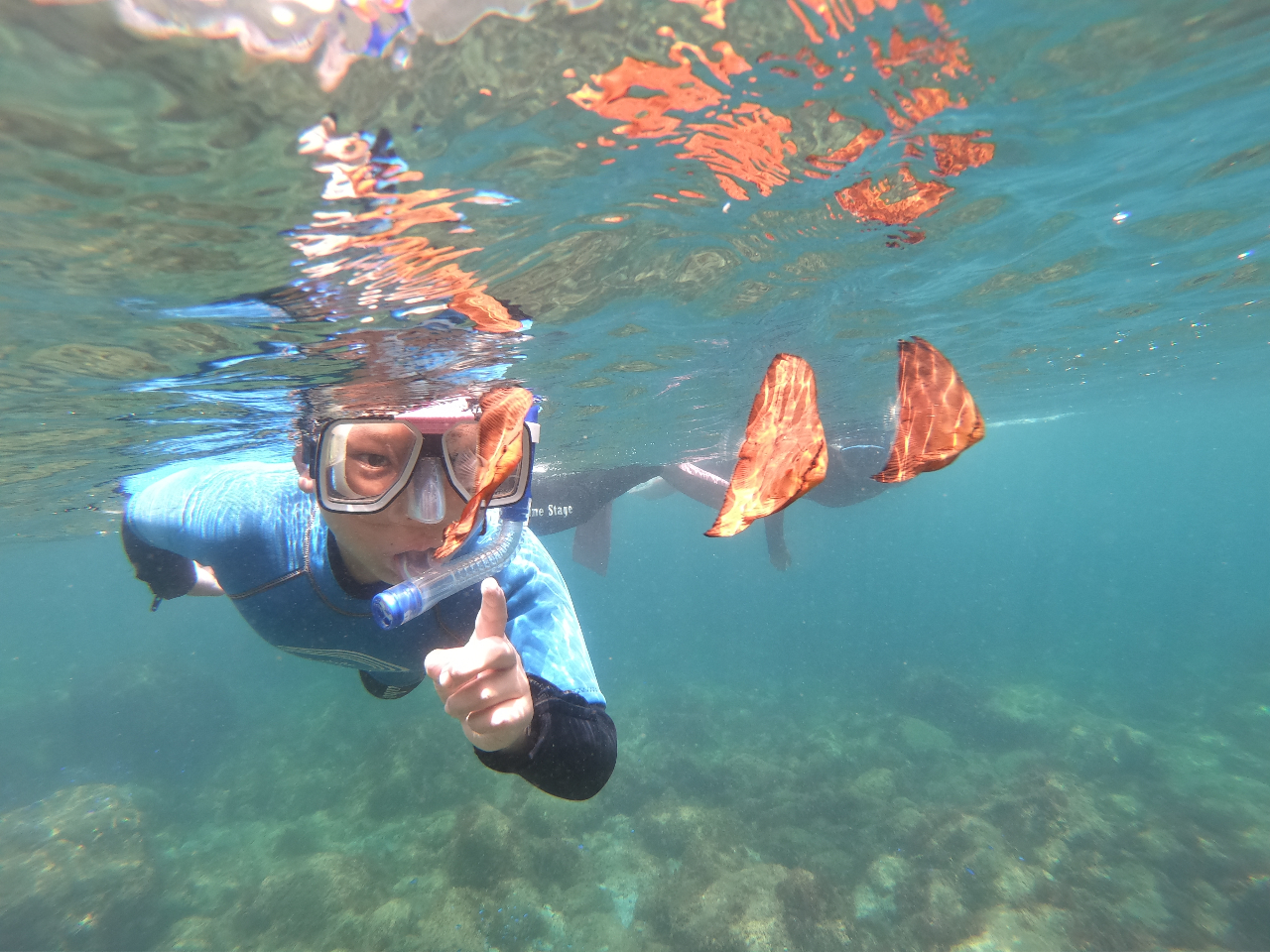 こんなお魚、見たことある??