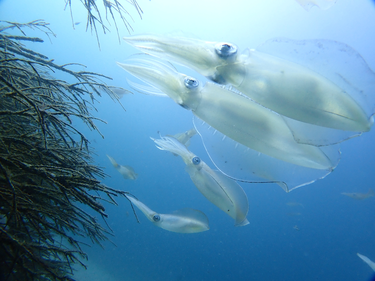 iCgbNXgpňSɁAȎʐ^B邩II