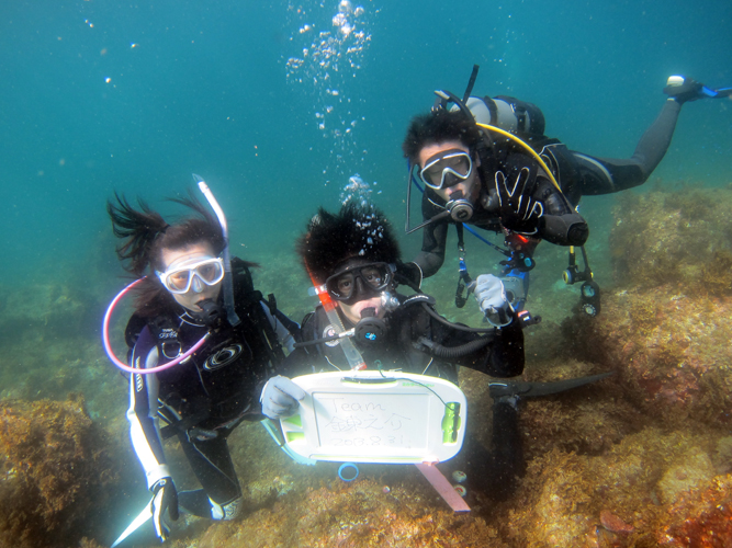 【伊豆高原・初心者】手ぶらでOK♪2名様からが超お得!体験ダイビング1ビーチ!!