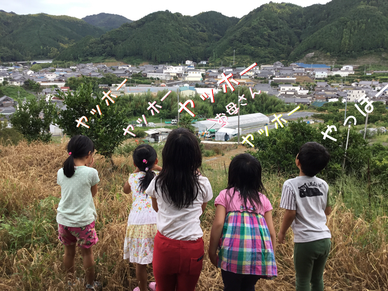 �������u�̏ォ��F�Ń��b�z�[�I��܂т��͕Ԃ��Ă��邩�ȁI�H