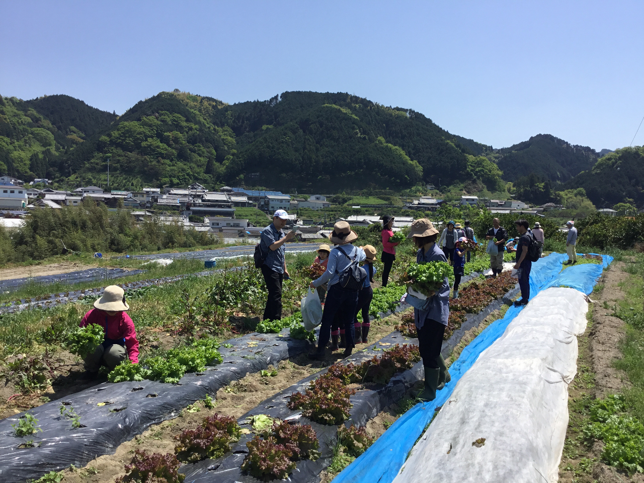 �t��؂̎��n