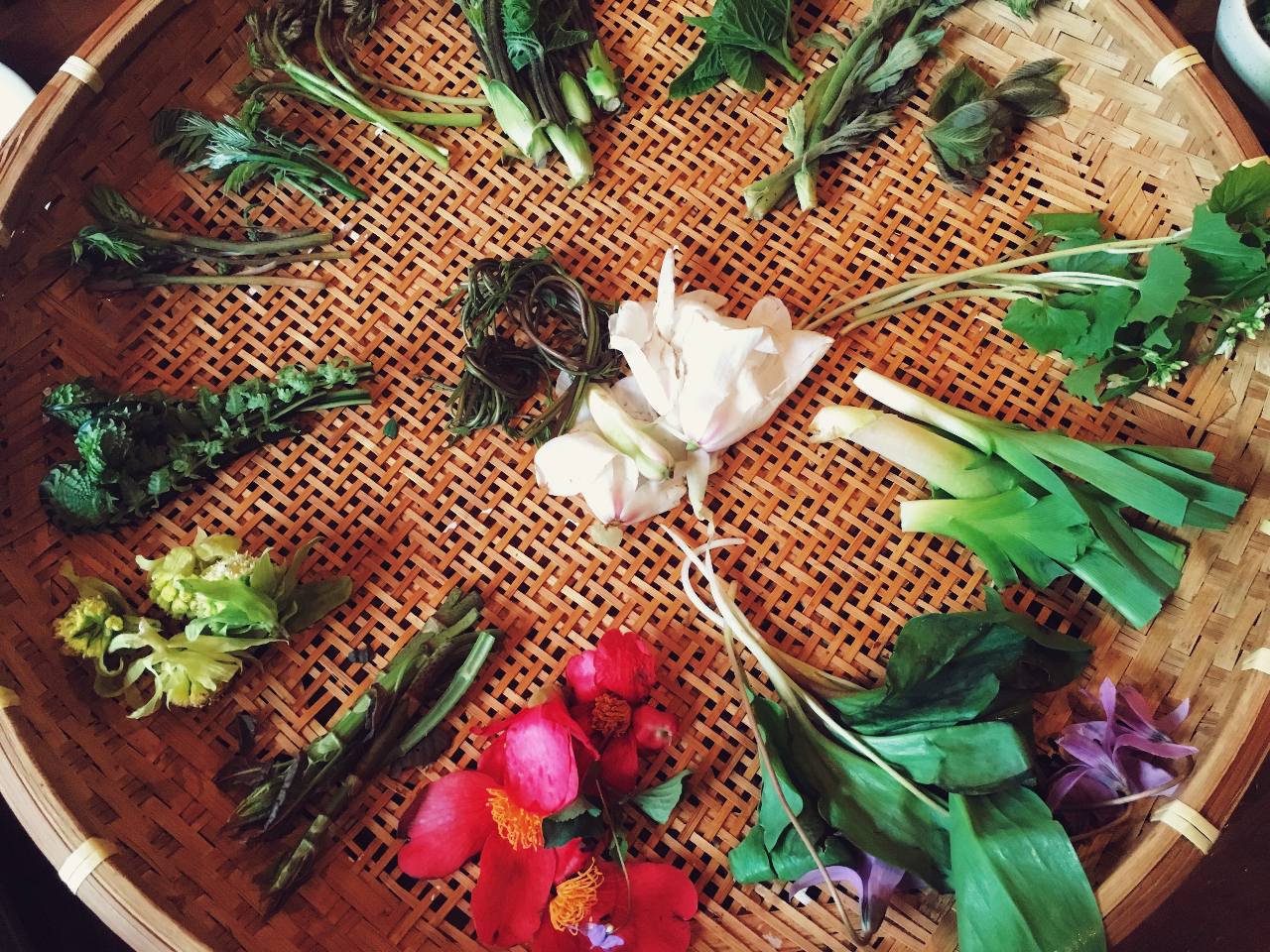 1DAY】旬の味覚が満載！山菜採りハイキング♪／おひとり様 11,000円