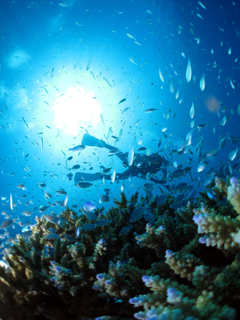 ō̓xɃMM̑zEEEł邾ŋC