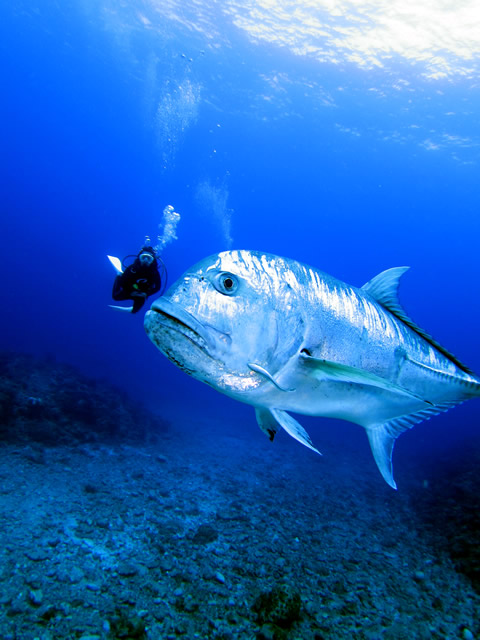 AWȍő̃EjAWB^V̓Ahio܂ˁ`