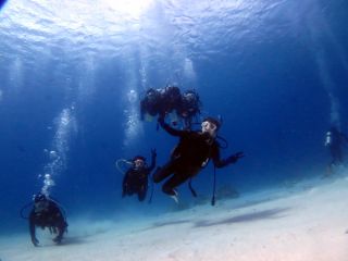 水中でしか味わえない感動を!!