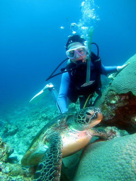 ̌_CrOăJɋႤ\ł`