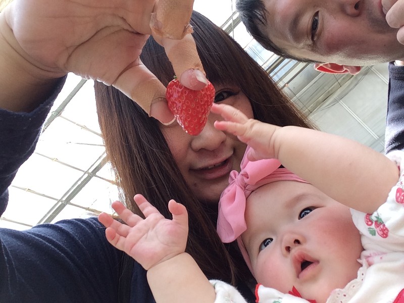 愛知 西尾市 いちご狩り らんらんいちご園 5月 コロナ対策実施中 らんらんいちご園 じゃらん遊び体験