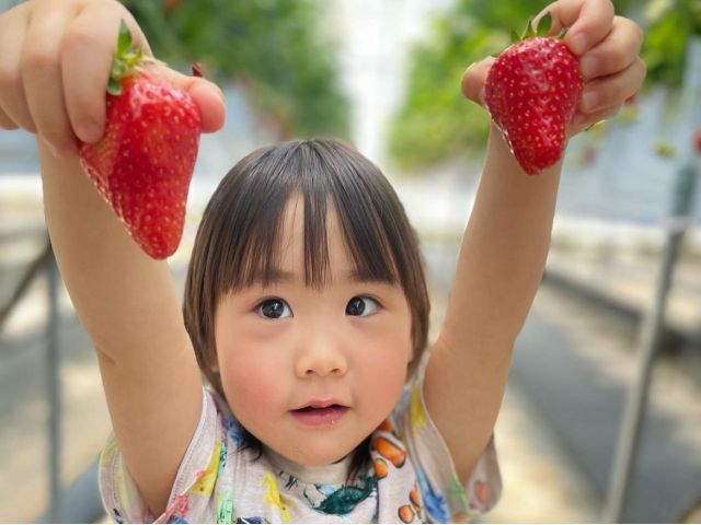 どっちがいい?♪