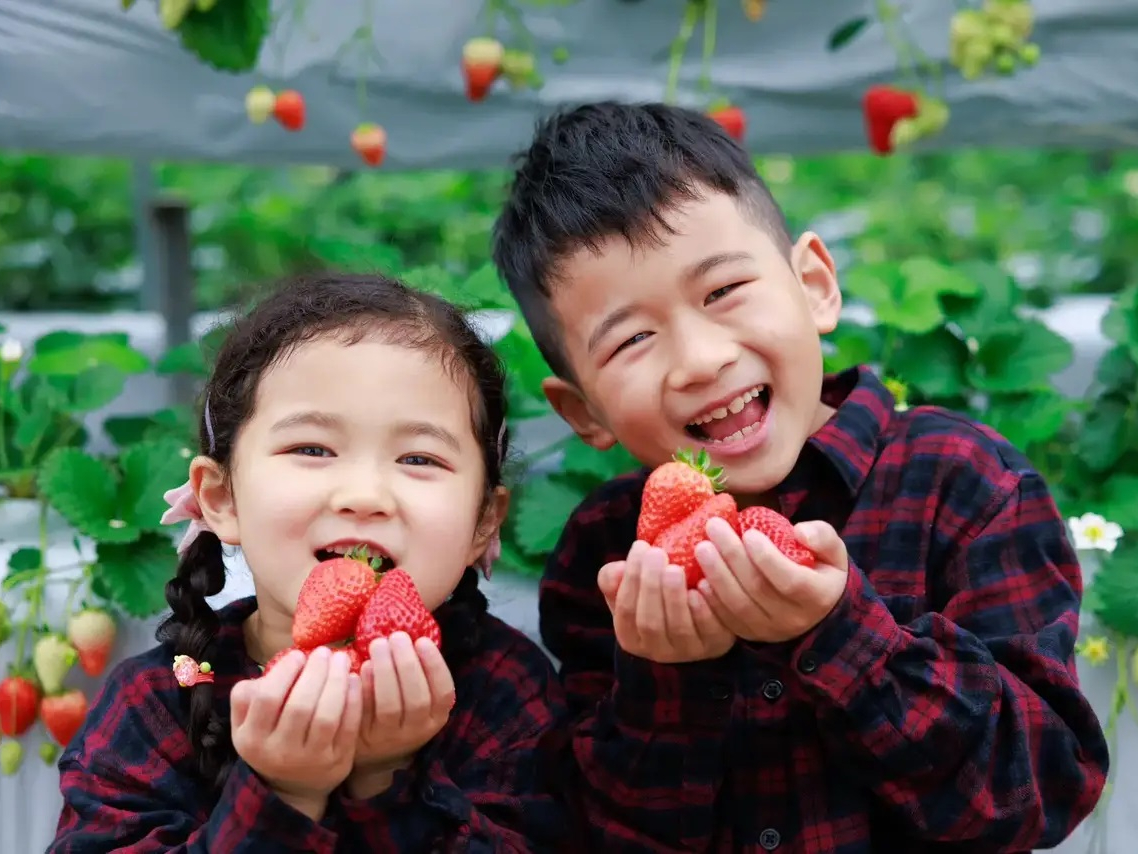 いちご狩りの様子♪