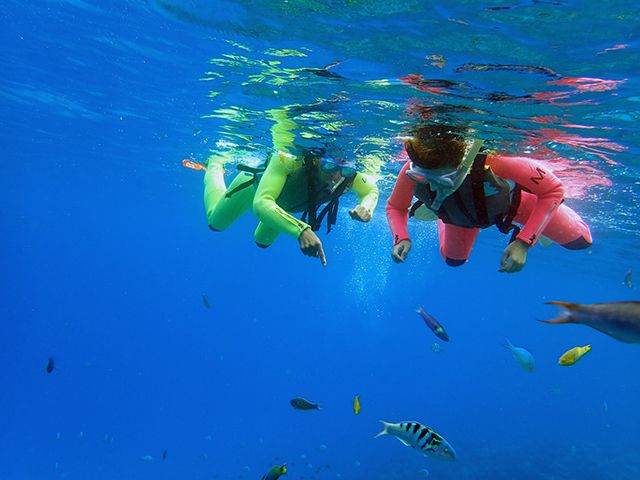 美ら海水族館から10分 サンゴの海で体験シュノーケリング 美ら海ダイビングセンター じゃらん遊び体験 美ら海水族館から10分 サンゴの海で体験シュノーケリング 美ら海ダイビングセンター じゃらん遊び体験