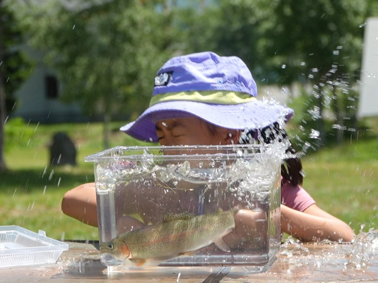 ひらふグランドセントロ 】〈ニセコ・ニジマス釣堀☆1時間〉手ぶらでOK