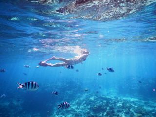 ★2024年じゃらん沖縄・那覇&慶良間諸島エリア・総合口コミランキング&パラセーリング部門口コミランキング第1位★