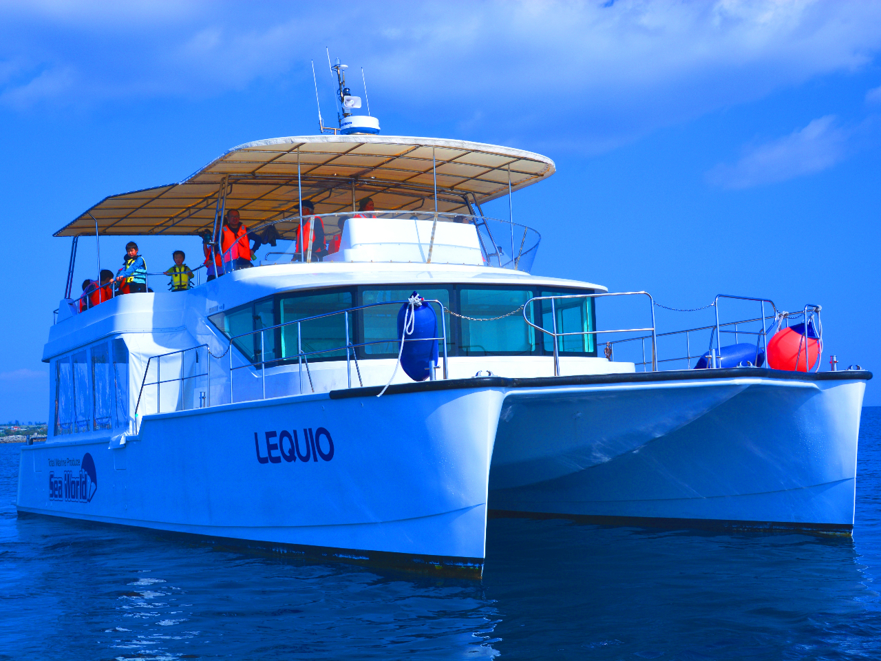 DSzȕɃIXX̗hɋ݌v2019NAqE^J^}D