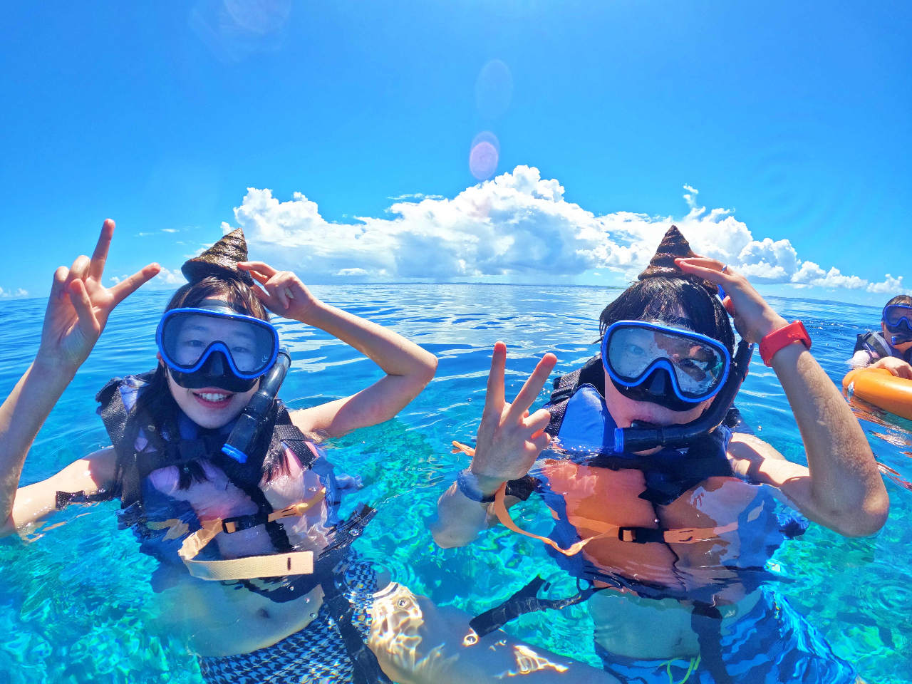 2024N񉫓EߔecǊԏGAER~LOpZ[OR~LOPʁ