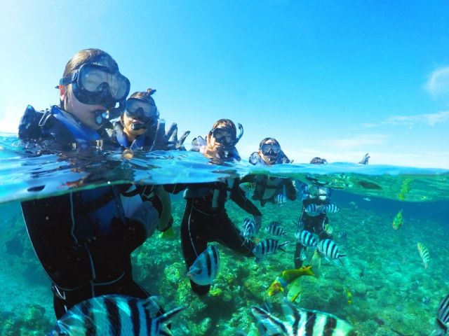 ★世界が恋する、ケラマブルーの海♪