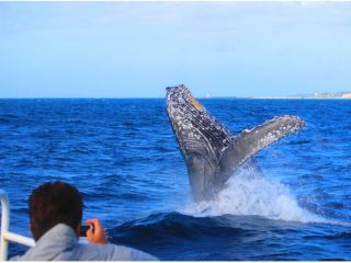 ★2025年じゃらん沖縄・ホエールツアー口コミランキング第1位(2年連続・2024〜2025年)★